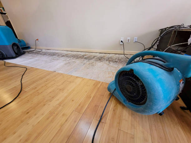 Professional Water Removal technician working in Klamath, CA